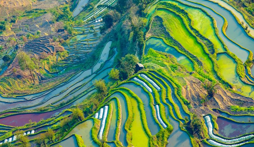 走进凤阳县TVC拍摄：解锁本地化场景与创意镜头的完美融合